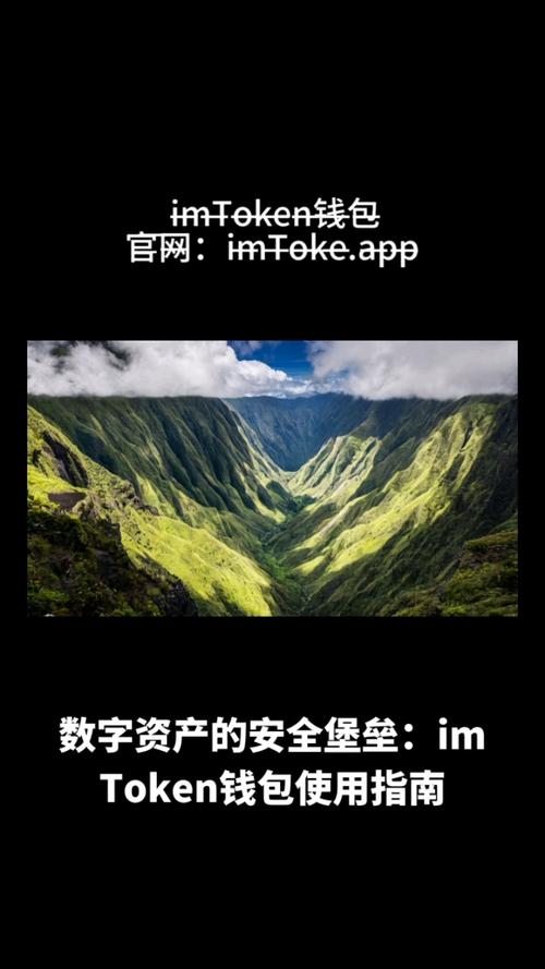 token.im安卓版官网的实用技巧与建议,帮助用户在投资过程中减少不必要的损失。_手机安卓系统官网_安卓商店官网