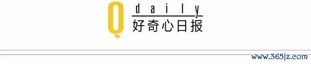 泄露隐私需要承担什么责任_imToken官方下载中的用户隐私保护策略,确保您的个人信息安全不被泄露。_泄露隐私包括什么