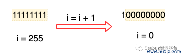 智能合约代币_如何通过SOL币进行智能合约的开发与应用_智能合约开发工具