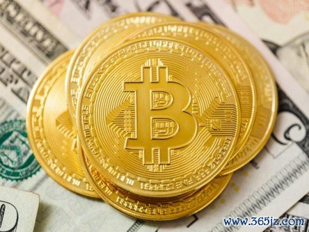 微观动机与宏观行为下载_分析虚拟货币的用户行为：了解投资者的决策与动机_什么技术对用户行为进行分析